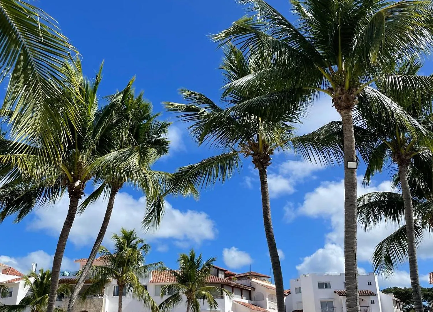 2Br Beachfront W View 71 Bayahibe Apartament